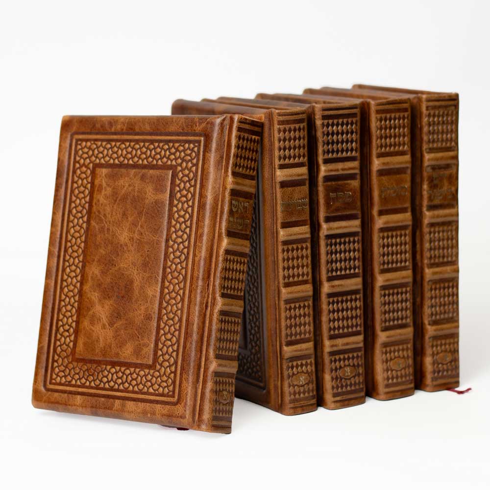 סט מחזורים דגם מסגרת